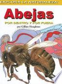 Libro Abejas, por dentro y por fuera