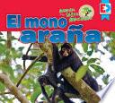 Libro Animales de la Selva Amazónica -- El Mono Araña