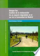 Libro Bosque sur