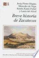 Libro Breve historia de Zacatecas