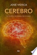 Libro Cerebro