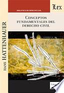 Libro Conceptos fundamentales del derecho civil