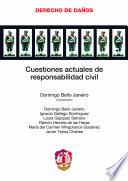 Libro Cuestiones actuales de responsabilidad civil