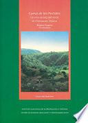 Libro Cueva de los Portales: un sitio arcaico del norte de Michoacán, México