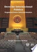 Libro Derecho Internacional Público: Organizaciones internacionales
