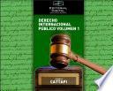 Libro Derecho Internacional Público. Volumen 1