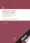 Derecho penal de principios (Volumen II)