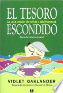 Libro El Tesoro Escondido (Hidden Treasure)