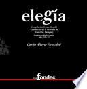 Libro Elegía