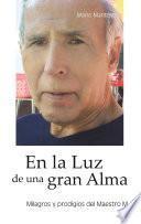 Libro En la Luz de una gran Alma