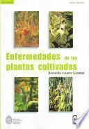 Libro Enfermedades de las plantas cultivadas