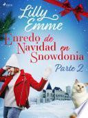 Libro Enredo de Navidad en Snowdonia – Parte 2