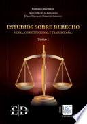 Libro Estudios sobre derecho penal, constitucional y transicional, Tomo I