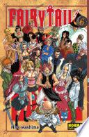 Libro Fairy Tail 6