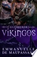 Libro Guerreros Vikingos