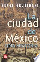Libro La ciudad de México. Una historia