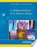 Libro La Diabetes Mellitus En La Practica Clinica