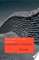 Libro Leyendo en las piedras