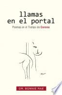 Libro Llamas En El Portal