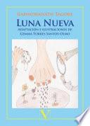 Libro Luna nueva
