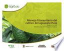 Libro Manejo fitosanitario del cultivo del aguacate Hass (Persea americana Mill) medidas para la temporada invernal