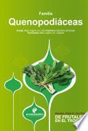 Libro Manual para el cultivo de hortalizas. Familia Quenopodiáceas
