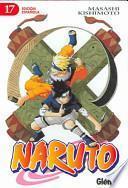 Libro Naruto