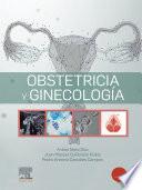 Libro Obstetricia y Ginecología
