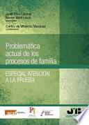 Libro Problemática actual de los procesos de familia. Especial atención a la prueba.