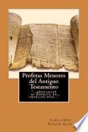 Libro Profetas Menores del Antiguo Testamento