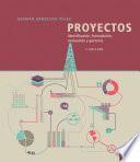 Libro Proyectos
