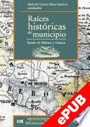 Libro Raíces históricas del municipio