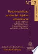 Libro Responsabilidad ambiental objetiva internacional