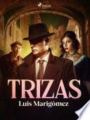 Libro Trizas