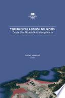 Libro Tsunamis en la Región del Biobío