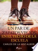 Libro Un par de zapatos viejos en el techo de la escuela