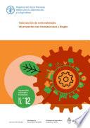 Libro Valorización de externalidades de proyectos con biomasa seca y biogás