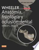 Libro Wheeler. Anatomía, fisiología y oclusión dental